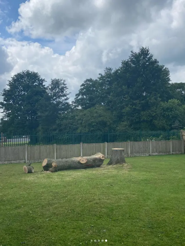 Felled tree trunk lying on a lawn