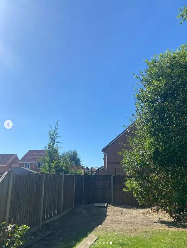 Garden corner cleared after tree removal