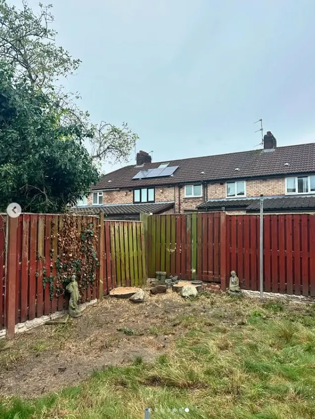 Back garden left clear and tidy after tree work