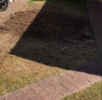Area of ground left level after stump grinding