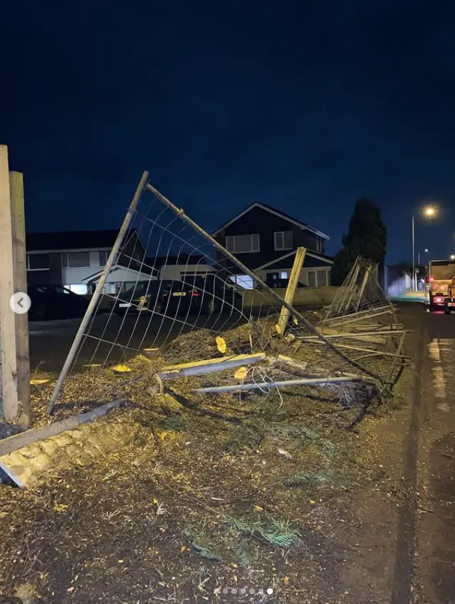 Storm-damaged tree resting across a fence at night