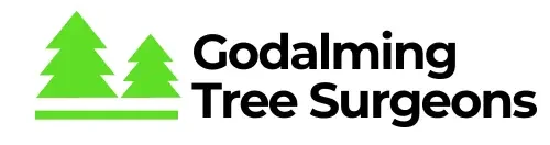 tree surgeon godalming